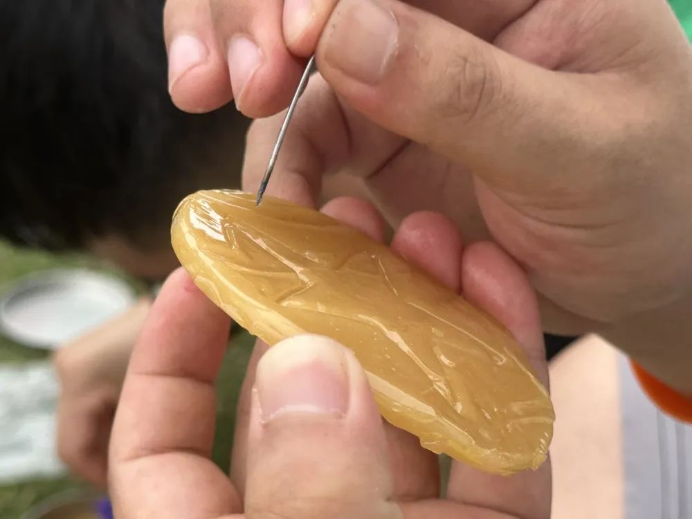 2025新澳门2025免费原料网