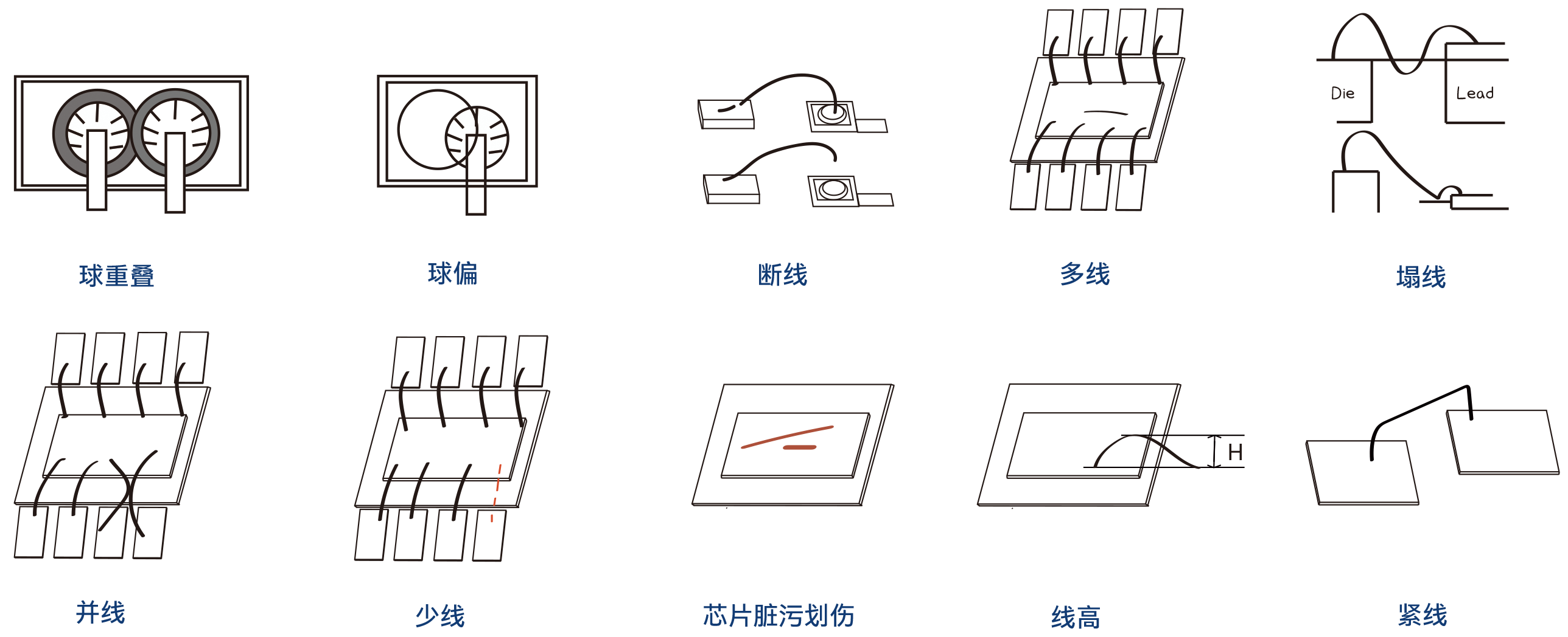 2025新澳门2025免费原料网